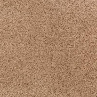 Искусственная замша Sofa Leather 02